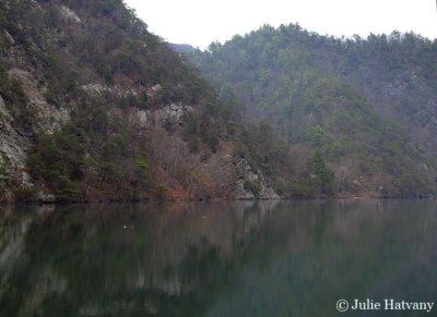Wilbur Lake 6