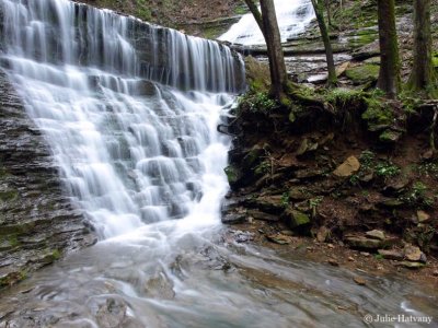 Jackson Falls