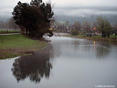 Mist on The Watauga River