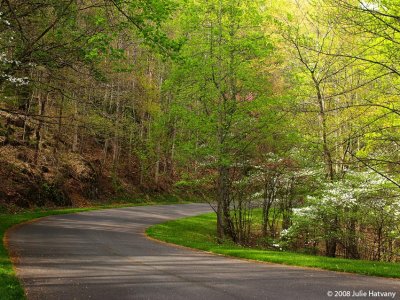 Spring Road