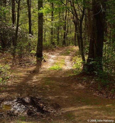 Muddy Road