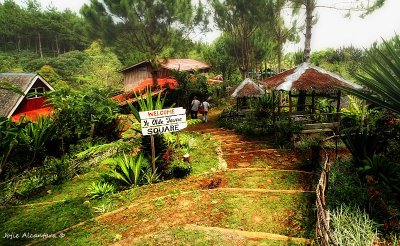 Wildberry Gardens in Buda