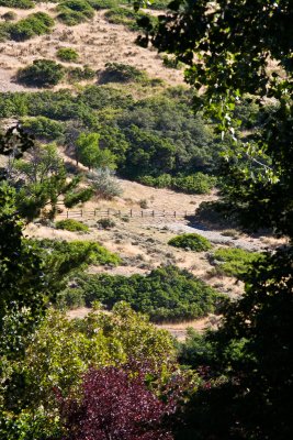 Park Viewed from yard