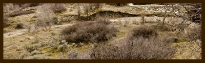 Coyote Porch Panorama