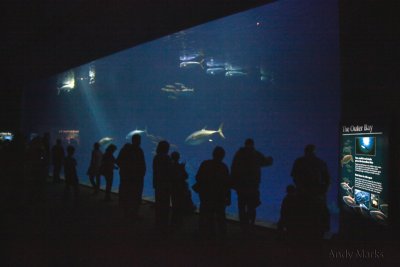 Outer Bay, 2nd floor