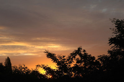 From my window this morning (August 5, 2008)