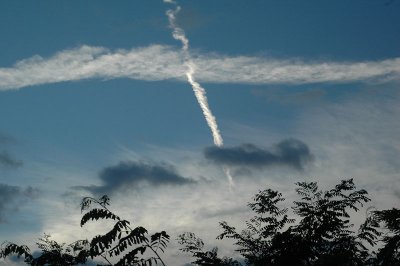 From my window this morning (August 11, 2008)