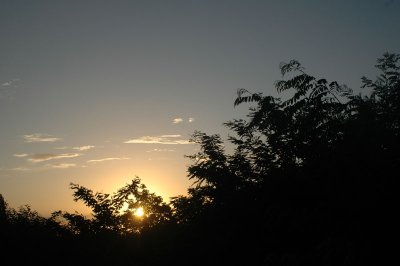 From my window this morning (august 14, 2008)