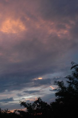 From my window this morning (august 15, 2008)