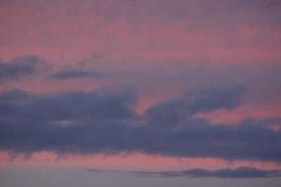 From my window this morning (August 21 2008)