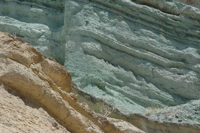 rocks and vegetation (4)
