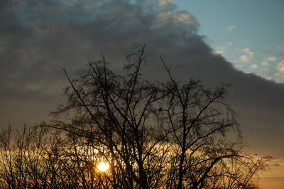 From my window this morning (December 19, 2009)