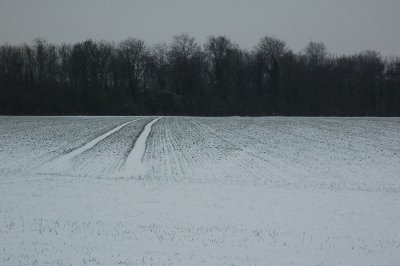 A grey snowy sunday