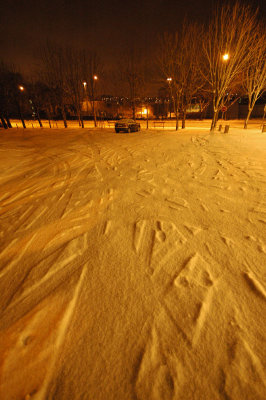 g3/23/819123/3/121873593.501ftERk.jpg