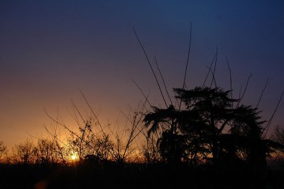 From my window this morning (March 27, 2008)