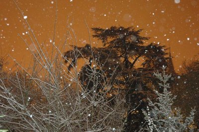 From my window this morning (April 7, 2008)