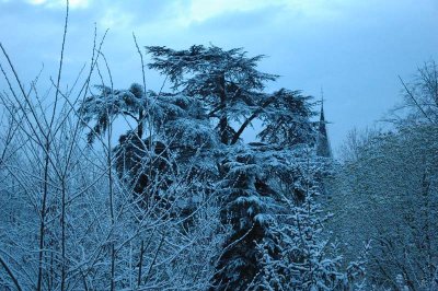 From my window this morning (April 7, 2008)