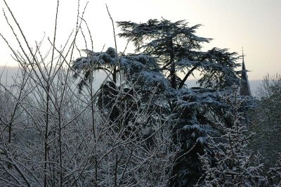 From my window this morning (April 7, 2008)