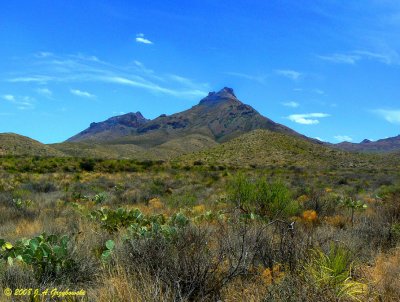 view in Big Bend National Park