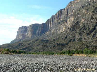 Sierra del Santa Elena, Chihuahua, MX