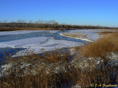 Icy day on the South Canadian