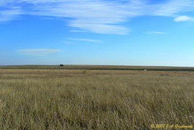 Open prairie, Beaver County, OK