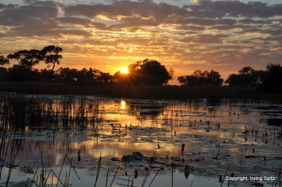 Botswana, Okavanga Delta