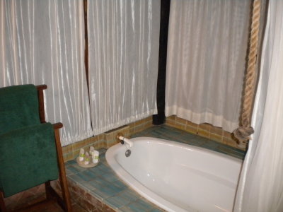 Room the bath tub.jpg