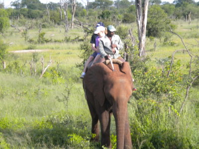 The smallest ridable elephant and two kids from Australia.jpg
