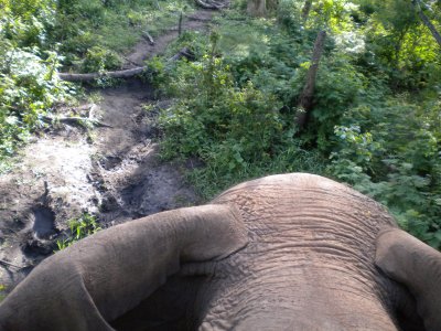  looking down at the trail and Danny.jpg