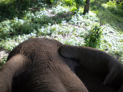 looking down at the trail and Danny.jpg