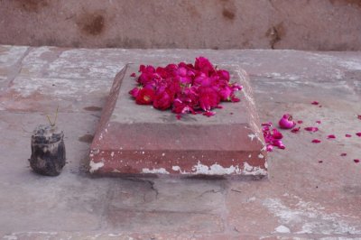 Flowers at I'timad-ud-Daulah Tomb (3).jpg