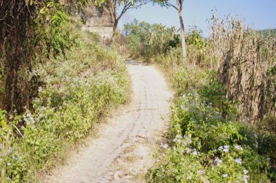 Path on Meghla Parjatan (2).jpg