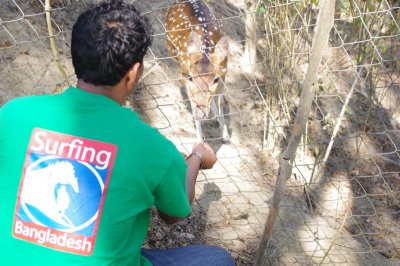 Sohail Feeding Deer.jpg