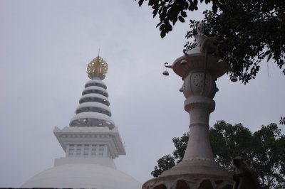 Around Peace Stupa.jpg