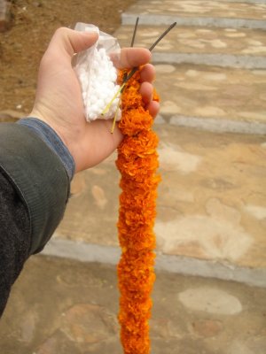 Offerings to Lord Buddha.jpg