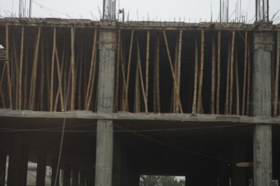 Bamboo Used in Construction.jpg