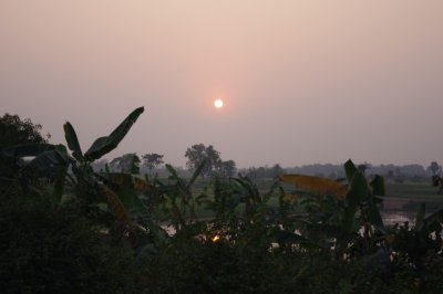 Bengal Countryside (2).jpg