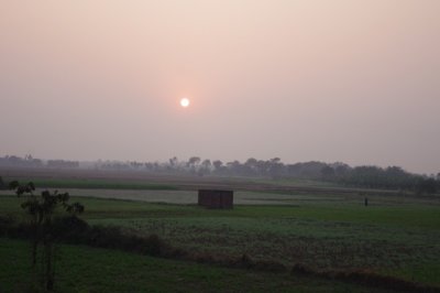 Bengal Countryside (3).jpg