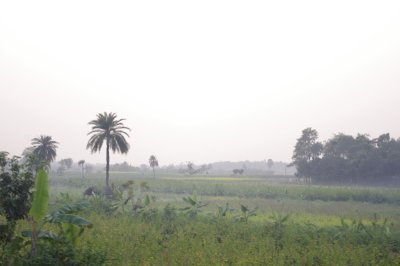 Bengal Countryside.jpg