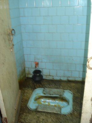 South Asian Toilet.jpg