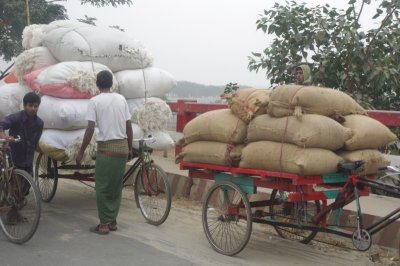 Textile Being Brought to Market.jpg
