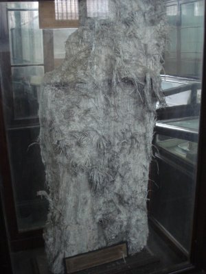 Asbestos - Indian Museum.jpg