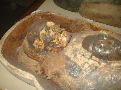 Egyptian Mummies - Indian Museum (2).jpg