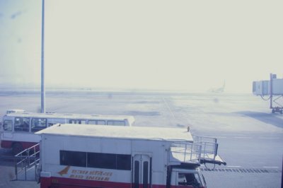 Fog Delays Airplane.jpg