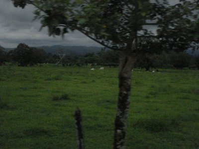 Farm Countryside Near Arenal (2).jpg