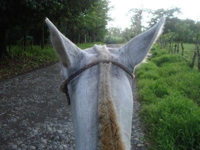 Horeseback Riding at Sarapiqui Ranch (4).jpg