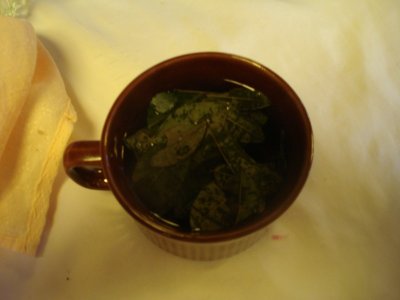 Mate de Coca.jpg