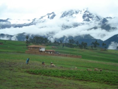 Road to Machu Picchu (3).jpg