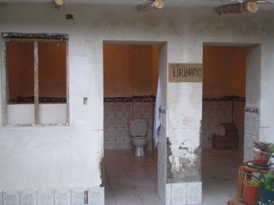 Toilet for Everyone to See.jpg
